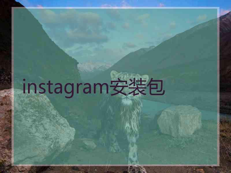 instagram安装包