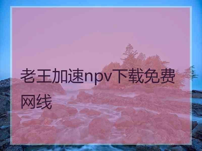 老王加速npv下载免费网线