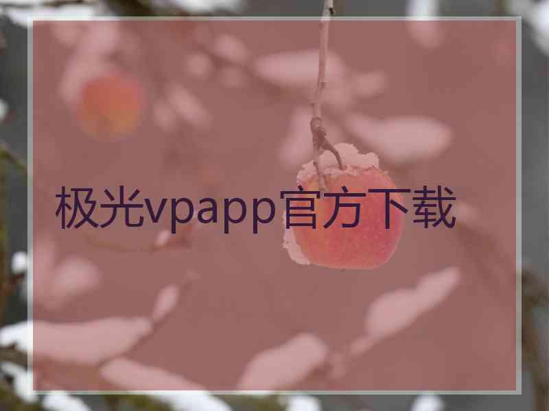 极光vpapp官方下载