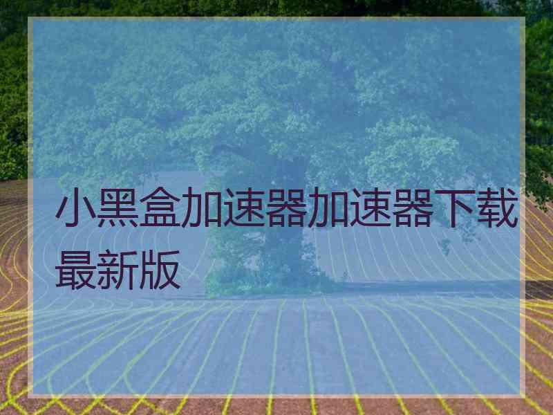 小黑盒加速器加速器下载最新版