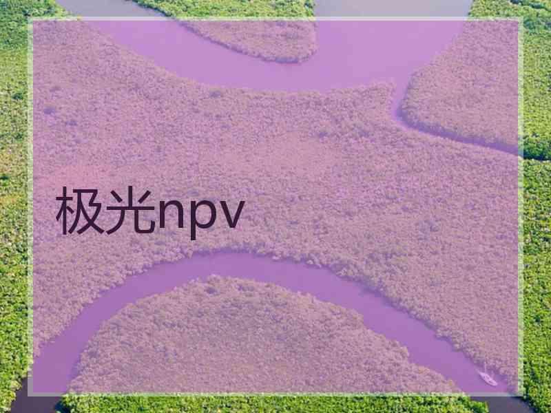 极光npv