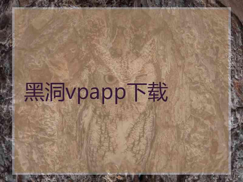 黑洞vpapp下载