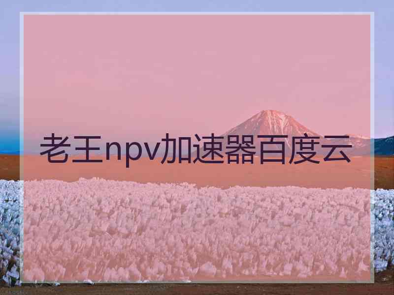 老王npv加速器百度云