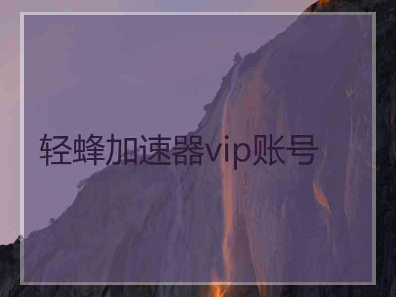 轻蜂加速器vip账号