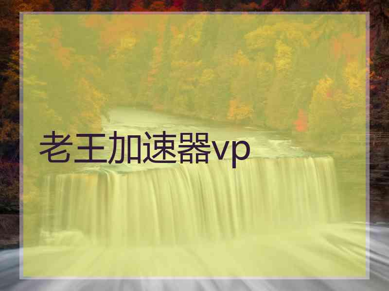 老王加速器vp