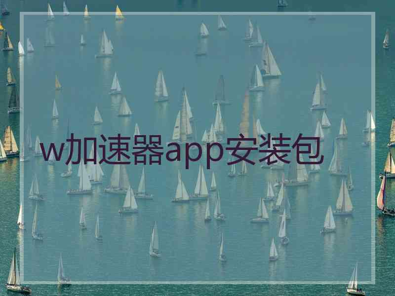 w加速器app安装包