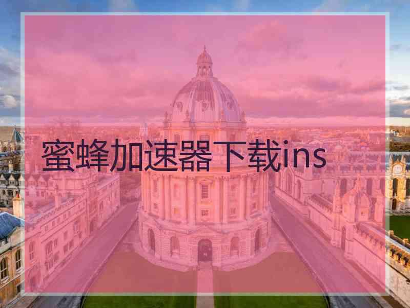 蜜蜂加速器下载ins