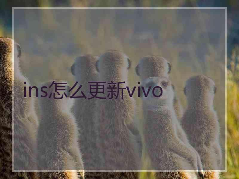 ins怎么更新vivo