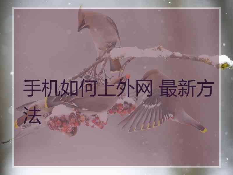 手机如何上外网 最新方法