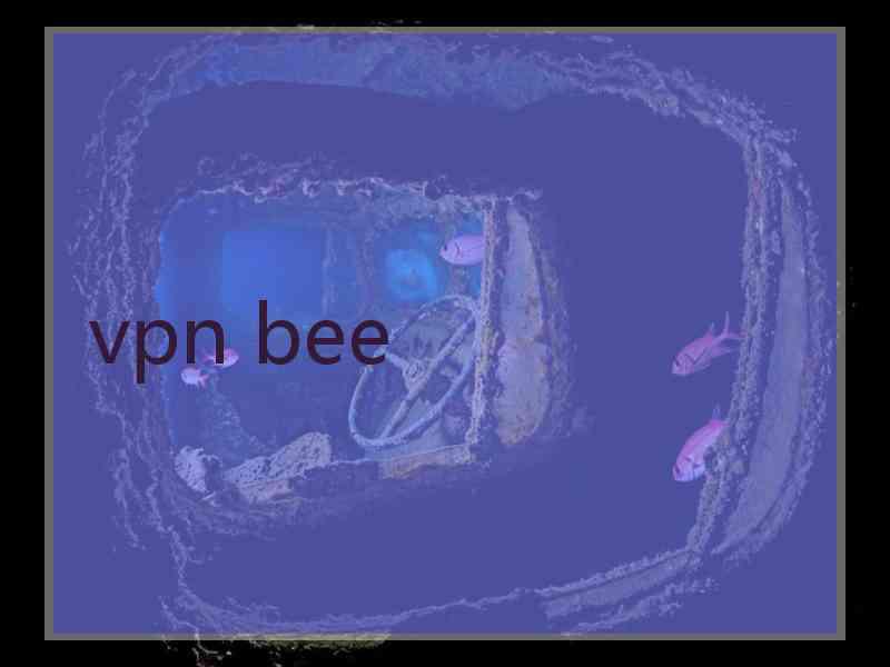 vpn bee