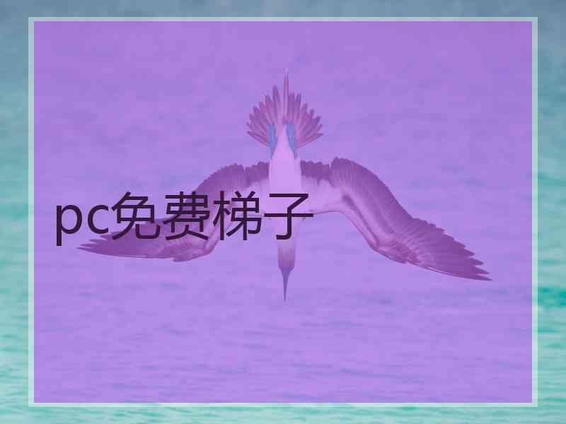 pc免费梯子