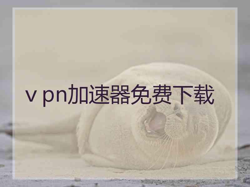 ⅴpn加速器免费下载