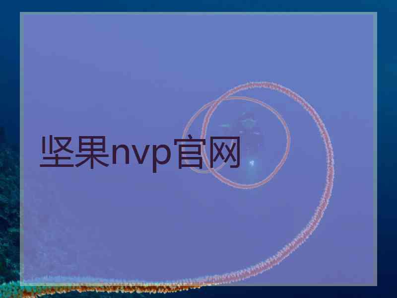 坚果nvp官网