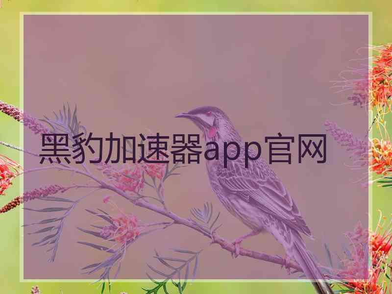 黑豹加速器app官网