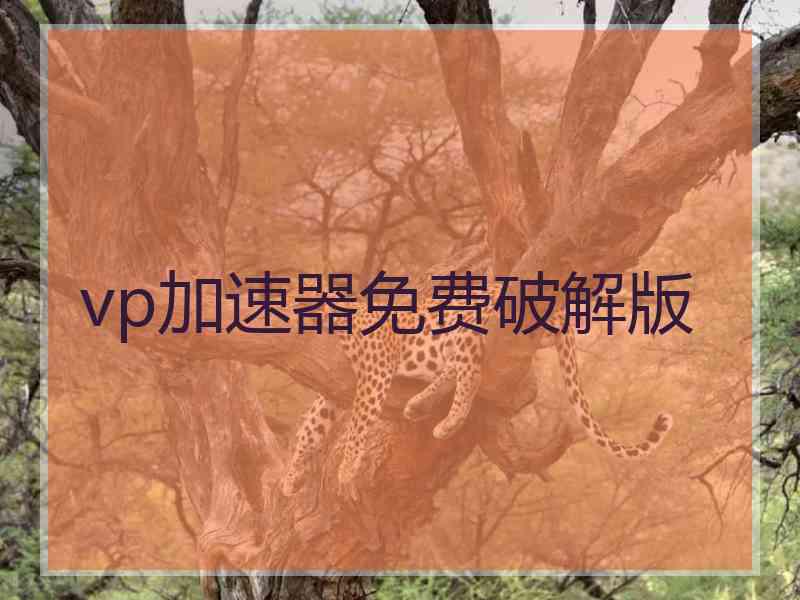 vp加速器免费破解版