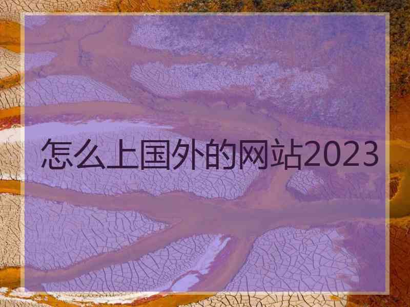 怎么上国外的网站2023