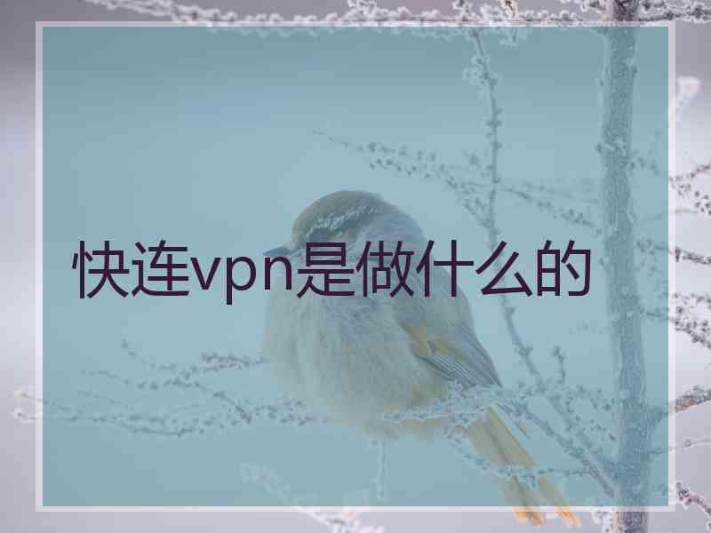 快连vpn是做什么的