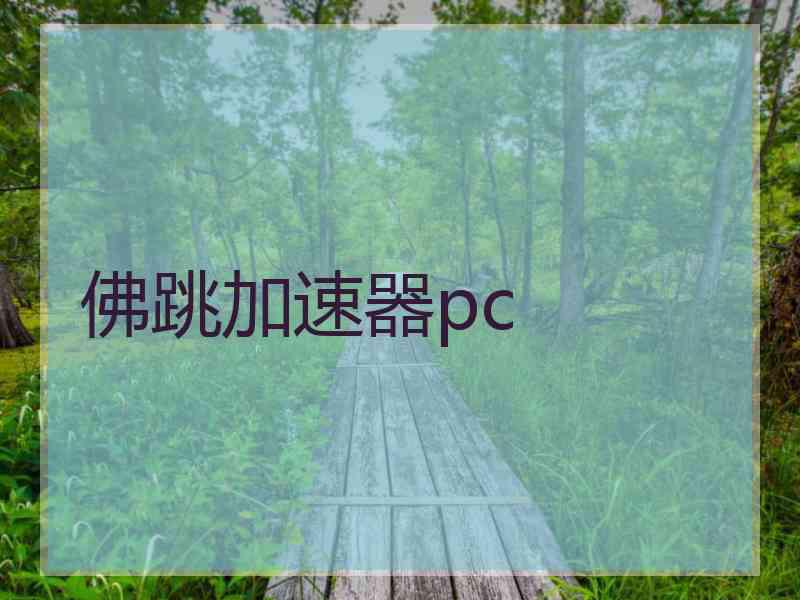 佛跳加速器pc