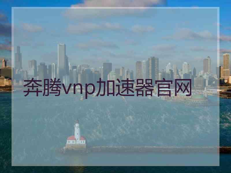 奔腾vnp加速器官网