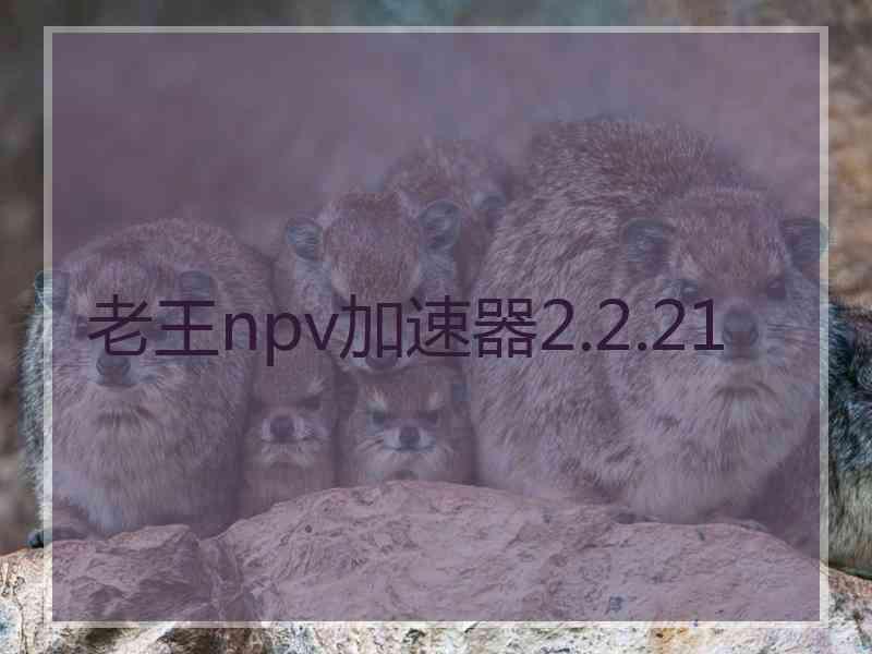 老王npv加速器2.2.21