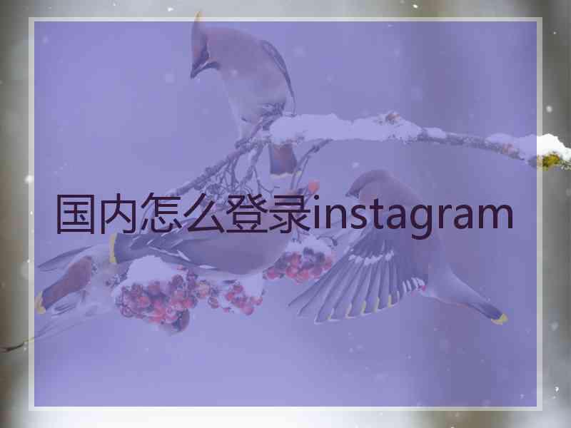 国内怎么登录instagram