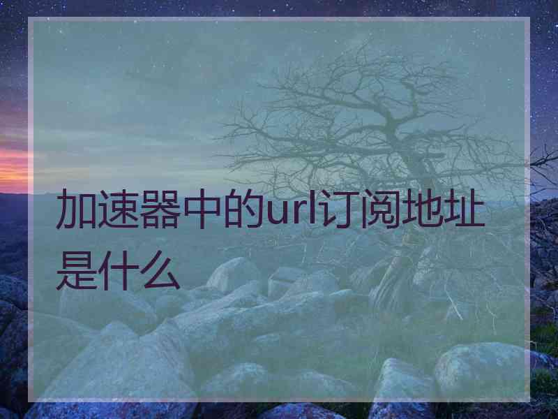 加速器中的url订阅地址是什么