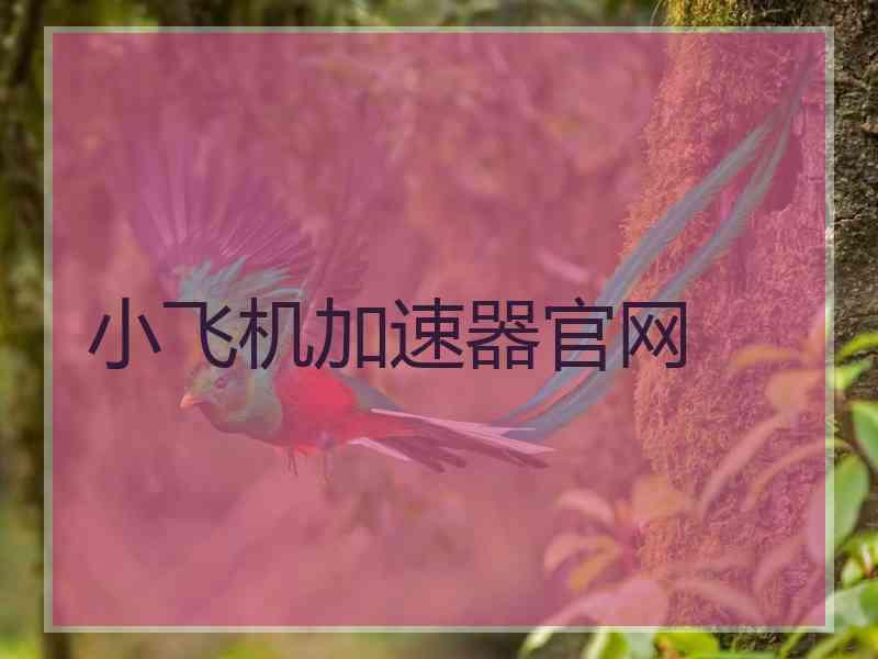 小飞机加速器官网