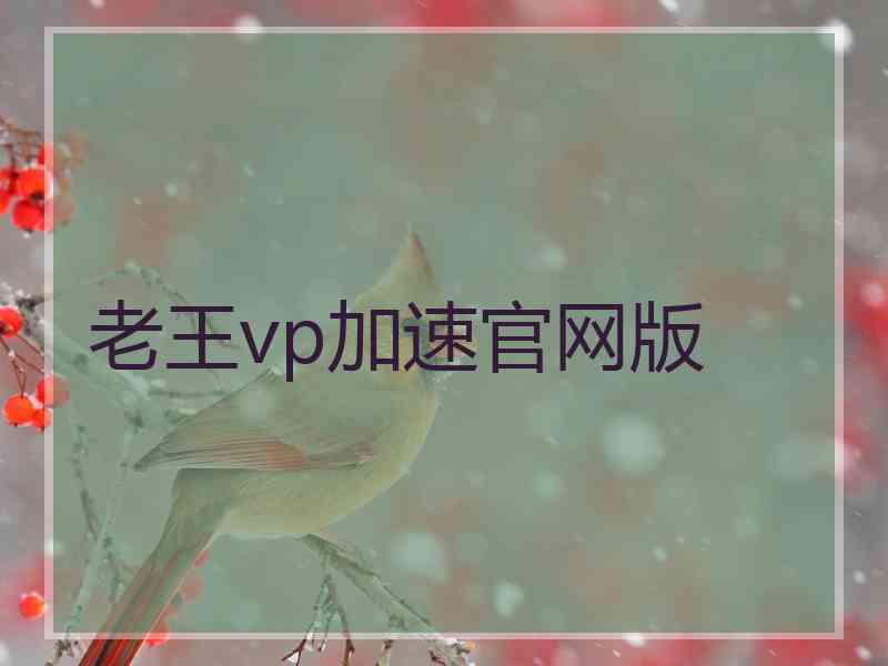 老王vp加速官网版