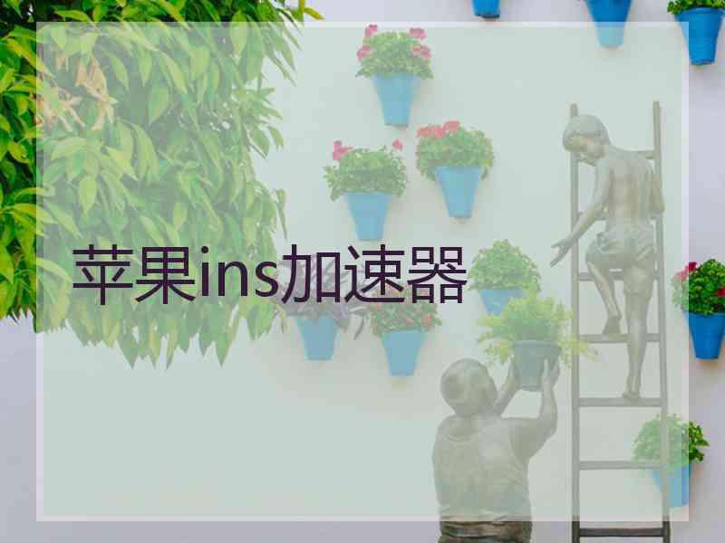 苹果ins加速器