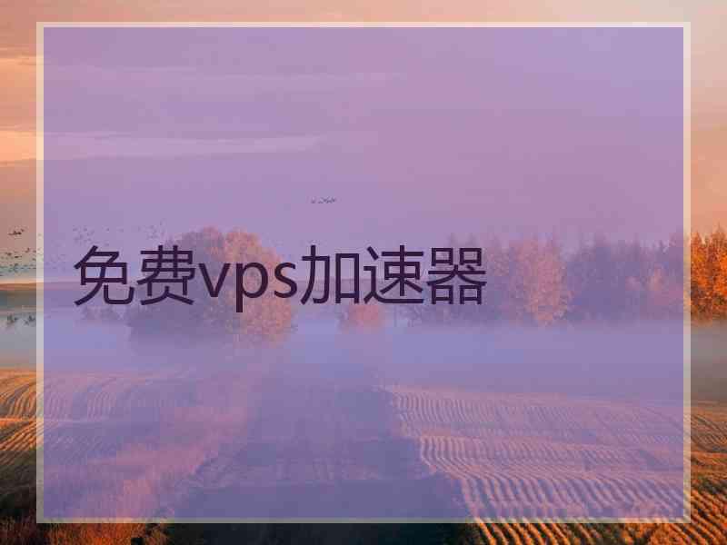 免费vps加速器