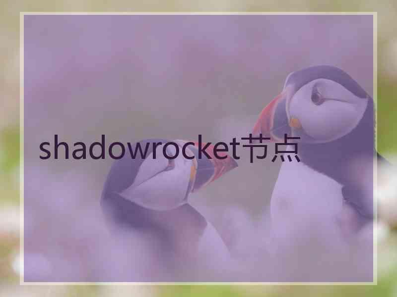 shadowrocket节点