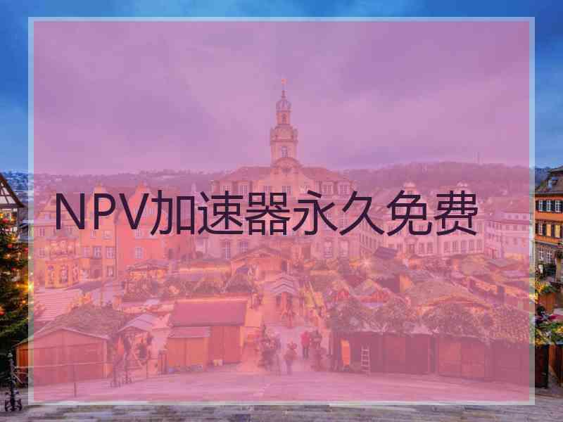 NPV加速器永久免费