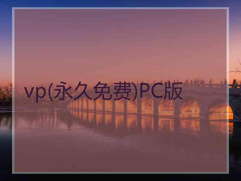 vp(永久免费)PC版