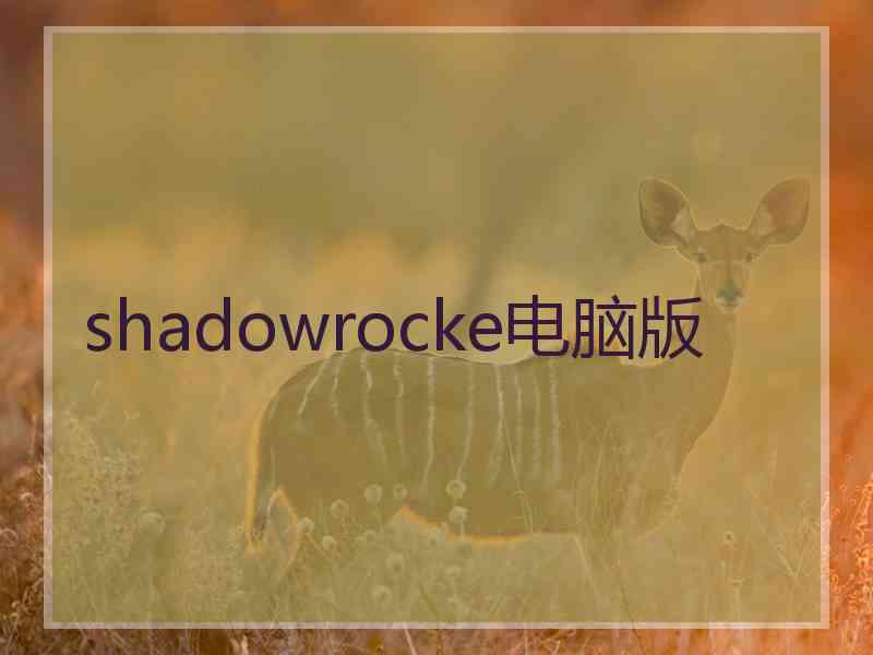 shadowrocke电脑版