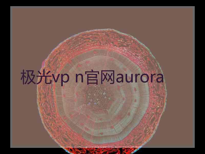 极光vp n官网aurora