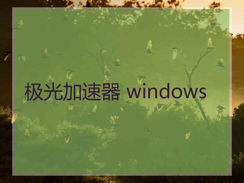 极光加速器 windows