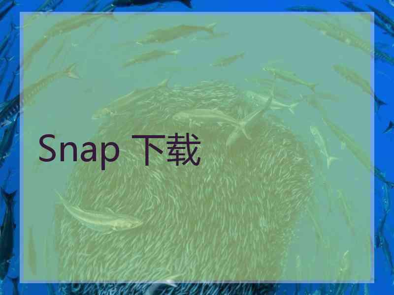 Snap 下载