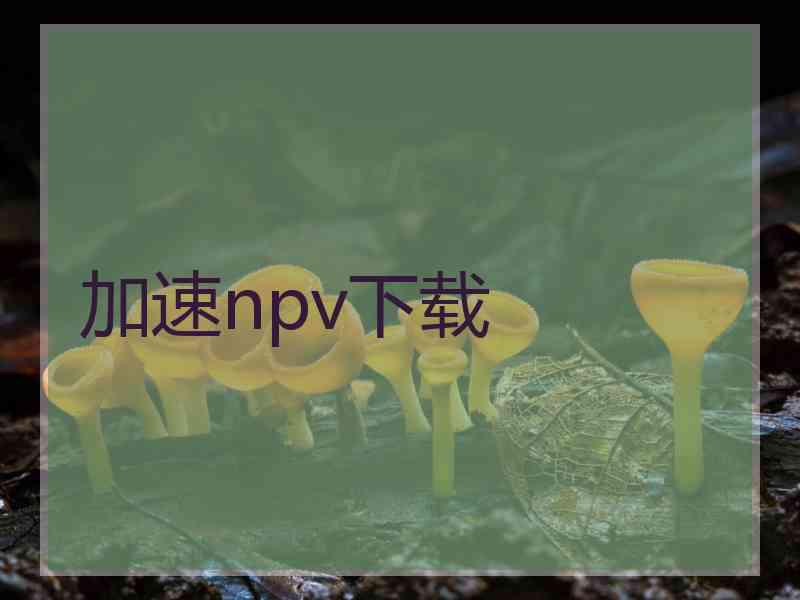 加速npv下载