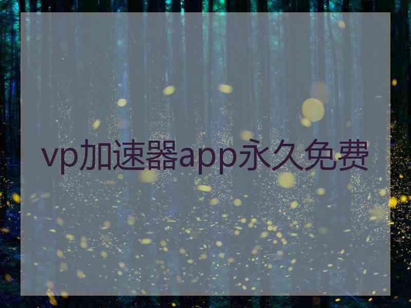 vp加速器app永久免费