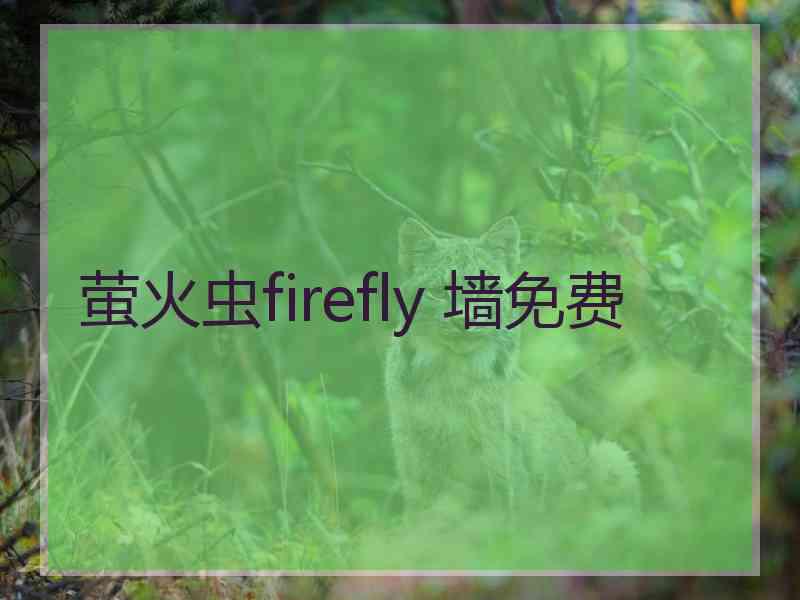 萤火虫firefly 墙免费