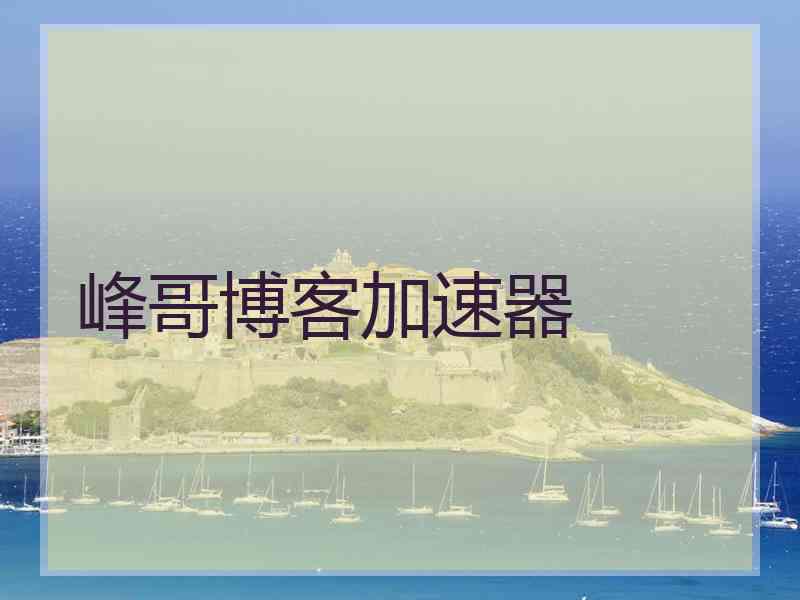 峰哥博客加速器