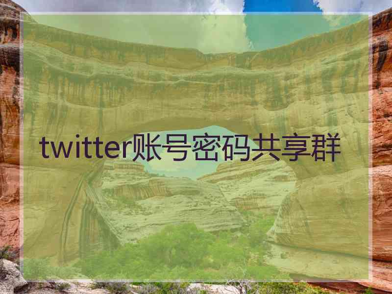 twitter账号密码共享群