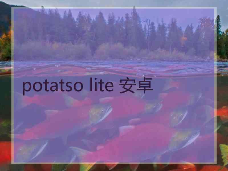 potatso lite 安卓