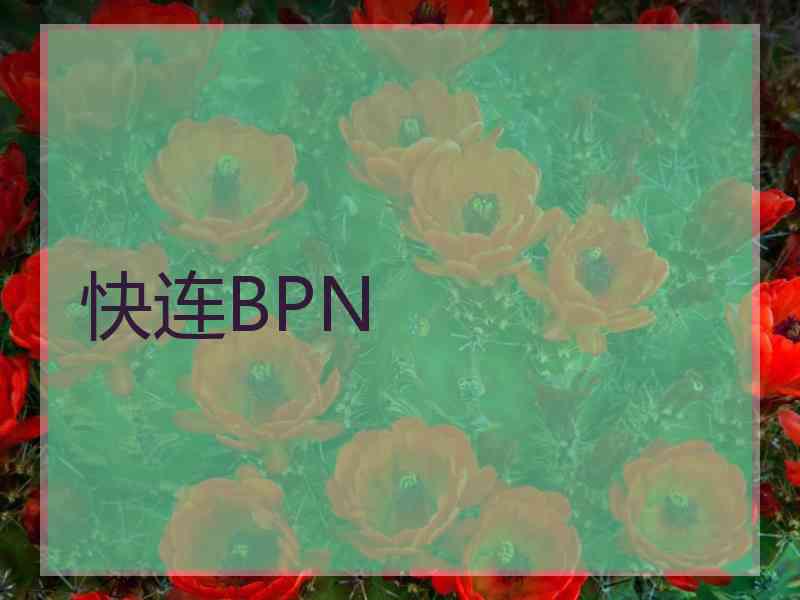 快连BPN