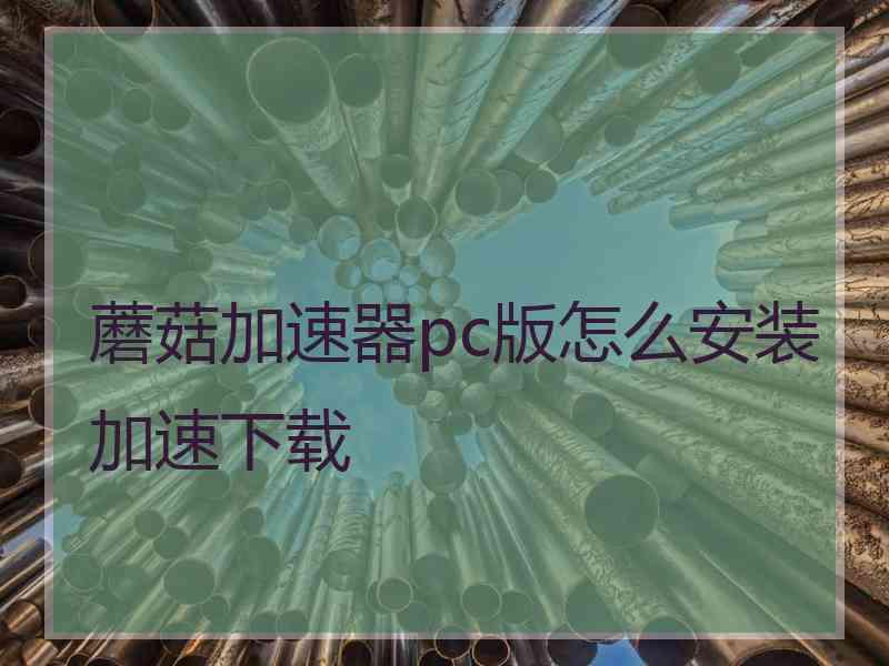 蘑菇加速器pc版怎么安装加速下载