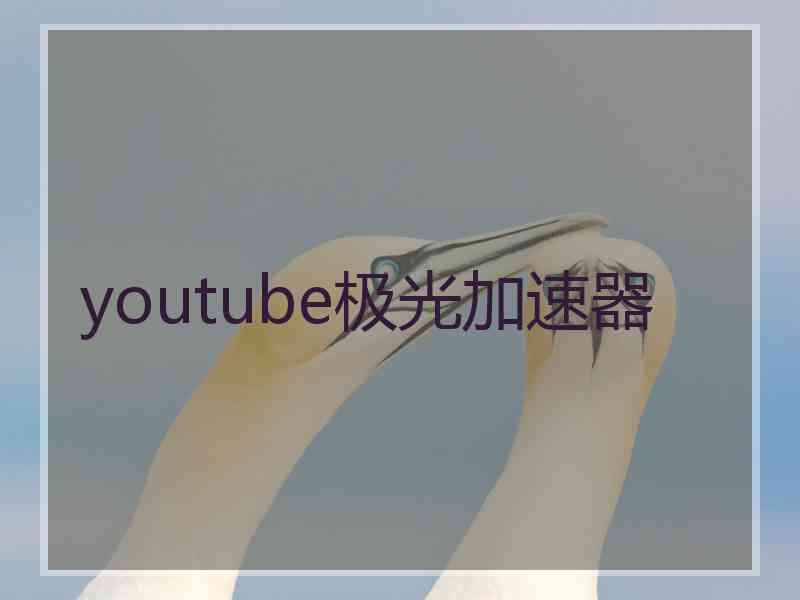 youtube极光加速器