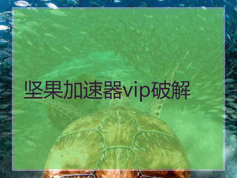 坚果加速器vip破解