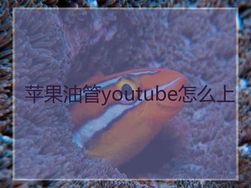 苹果油管youtube怎么上