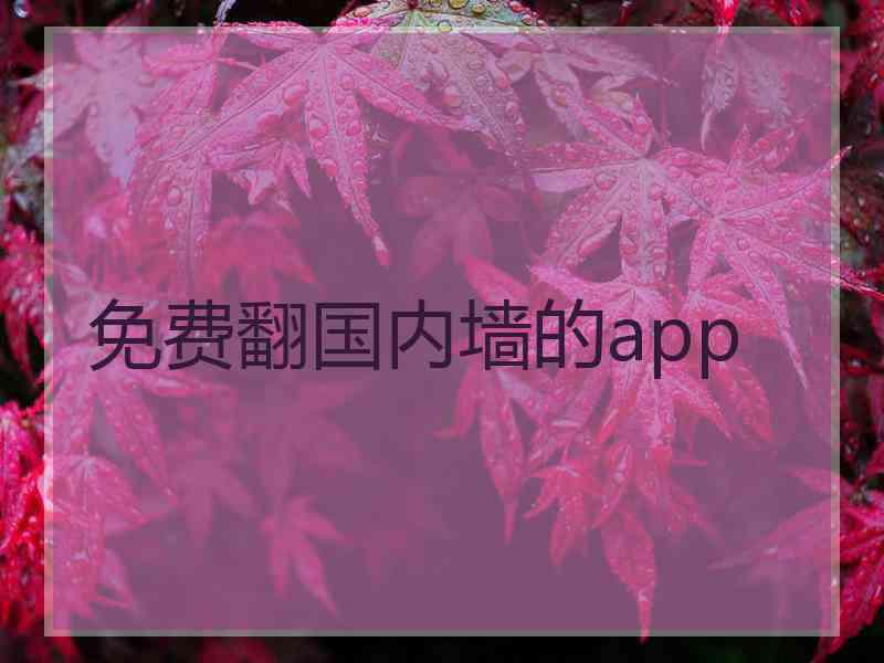 免费翻国内墙的app