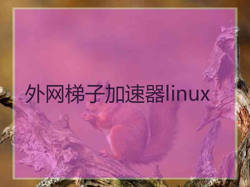 外网梯子加速器linux